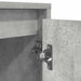 Dulap TV cu lumini LED Gri beton 193,5x41x50 cm - WALTI WALTI