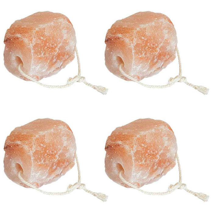 Pietre sare de lins 4 buc., roz, sfori animale de fermă, 10 kg - WALTI WALTI