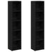 Dulapuri CD-uri 2 buc Stejar negru 21x16x93,5 cm Lemn prelucrat - WALTI WALTI