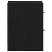 Noptiera stejar negru 40x30x40 cm lemn prelucrat - WALTI WALTI
