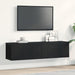 Dulap TV Stejar negru 120x30x30,5 cm Lemn prelucrat - WALTI WALTI
