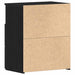 Noptieră 2 pcs Stejar Negru 50 x 32 x 60cm Lemn compozit - WALTI WALTI