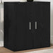 Dulapuri pantofi 2 buc Stejar negru 32x35x70 cm Lemn prelucrat - WALTI WALTI