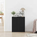 Bufet Negru 60 x 30 x 70 cm Lemn compozit - WALTI WALTI