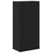 Dulap montat pe perete, stejar negru, 32x20x67cm lemn prelucrat - WALTI WALTI