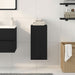 Dulap montat pe perete, stejar negru, 32x20x67cm lemn prelucrat - WALTI WALTI