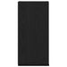 Dulap montat pe perete, stejar negru, 32x20x67cm lemn prelucrat - WALTI WALTI