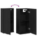Dulap montat pe perete, stejar negru, 32x20x67cm lemn prelucrat - WALTI WALTI