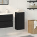 Dulap montat pe perete, stejar negru, 32x20x67cm lemn prelucrat - WALTI WALTI
