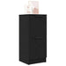 Bufet Stejar Negru 30 x 30 x 70 cm Lemn compozit - WALTI WALTI
