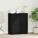 Bufet 2 pcs Stejar negru 30 x 30 x 70 cm Lemn compozit - WALTI WALTI