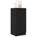 Bufet 2 pcs Stejar negru 30 x 30 x 70 cm Lemn compozit - WALTI WALTI