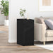 Dulap pentru birou Stejar negru 33 x 50 x 75 cm Lemn compozit - WALTI WALTI
