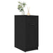 Dulap pentru birou Stejar negru 33 x 50 x 75 cm Lemn compozit - WALTI WALTI