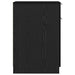 Dulap pentru birou Stejar negru 33 x 50 x 75 cm Lemn compozit - WALTI WALTI