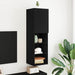 Cabinet TV Negru 30.5 x 30 x 102 cm Lemn compozit - WALTI WALTI
