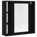 Dulap cu oglindă de baie stejar negru 60x16x60cm lemn prelucrat - WALTI WALTI