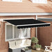Material de înlocuire pentru copertină Negru 300 x 250 cm Pânză - WALTI WALTI