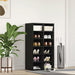 Suport pentru pantofi Stejar negru 54x34x100,5cm Lemn prelucrat - WALTI WALTI