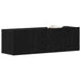 Cabinet TV Stejar Negru 100 x 30 x 30 cm Lemn compozit - WALTI WALTI