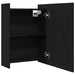 Dulap cu oglindă pentru baie Stejar Negru 62,5 x 20,5 x 64 cm - WALTI WALTI