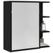 Dulap cu oglindă pentru baie Stejar Negru 62,5 x 20,5 x 64 cm - WALTI WALTI