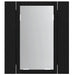 Dulap cu oglindă pentru baie cu LED, stejar negru, 40x12x45 cm, lemn prelucrat - WALTI WALTI