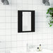 Dulap cu oglindă pentru baie cu LED, stejar negru, 40x12x45 cm, lemn prelucrat - WALTI WALTI
