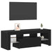 Cabinet TV Stejar Negru 120 x 35 x 40 cm Lemn compozit - WALTI WALTI