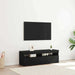 Cabinet TV Stejar Negru 120 x 35 x 40 cm Lemn compozit - WALTI WALTI
