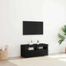 Cabinet TV Stejar Negru 90 x 35 x 40 cm Lemn compozit - WALTI WALTI