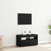 Cabinet TV Stejar Negru 75 x 35 x 40 cm Lemn compozit - WALTI WALTI