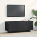 Cabinet TV Stejar Negru 100 x 35 x 40 cm Lemn compozit - WALTI WALTI
