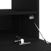Cabinet TV Stejar Negru 100 x 35 x 40 cm Lemn compozit - WALTI WALTI