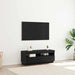 Cabinet TV Stejar Negru 100 x 35 x 40 cm Lemn compozit - WALTI WALTI