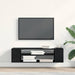 Cabinet TV Negru 100 x 30 x 26.5 cm Lemn compozit - WALTI WALTI