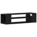 Cabinet TV Negru 100 x 30 x 26.5 cm Lemn compozit - WALTI WALTI