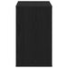 Bufet Negru 60 x 30 x 50 cm Lemn compozit - WALTI WALTI