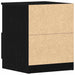 Dulap de noapte Stejar Negru 40 x 40 x 50 cm Lemn compozit - WALTI WALTI