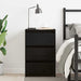 Dulap de noapte Stejar negru 40 x 35 x 62.5 cm Lemn compozit - WALTI WALTI