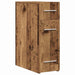 Dulap de farmacie Lemn vechi 20 x 45.5 x 60 cm Lemn compozit - WALTI WALTI