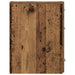 Dulap de farmacie Lemn vechi 20 x 45.5 x 60 cm Lemn compozit - WALTI WALTI
