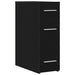 Dulap de farmacie Stejar negru 20 x 45.5 x 60 cm Lemn compozit - WALTI WALTI