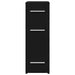 Dulap de farmacie Stejar negru 20 x 45.5 x 60 cm Lemn compozit - WALTI WALTI