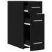 Dulap de farmacie Stejar negru 20 x 45.5 x 60 cm Lemn compozit - WALTI WALTI