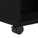 Dulap de depozitare Stejar Negru 46 x 36 x 59 cm Lemn compozit - WALTI WALTI