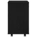 Dulap de depozitare Stejar Negru 46 x 36 x 59 cm Lemn compozit - WALTI WALTI
