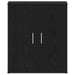 Dulap pentru pantofi Stejar Negru 60 x 35 x 70 cm Lemn compozit - WALTI WALTI