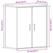 Dulap pentru pantofi Stejar Negru 60 x 35 x 70 cm Lemn compozit - WALTI WALTI