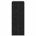 Dulap pentru pantofi Stejar Negru 60 x 35 x 92 cm Lemn compozit - WALTI WALTI